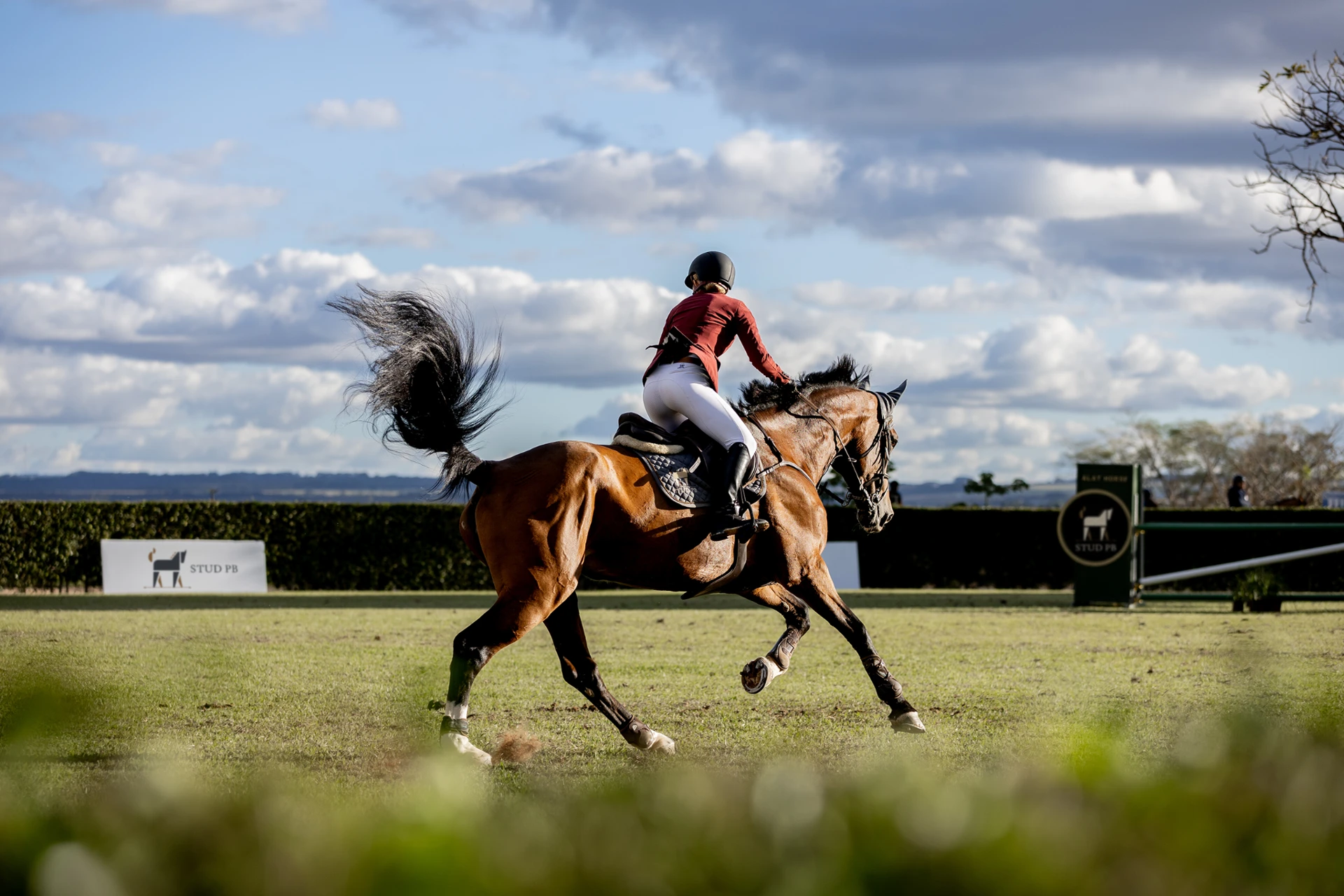 Amazona do Stud PB montando um cavalo em uma pista de hipismo